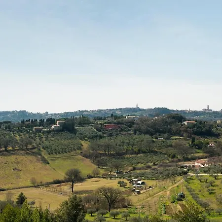 Stella Perugia